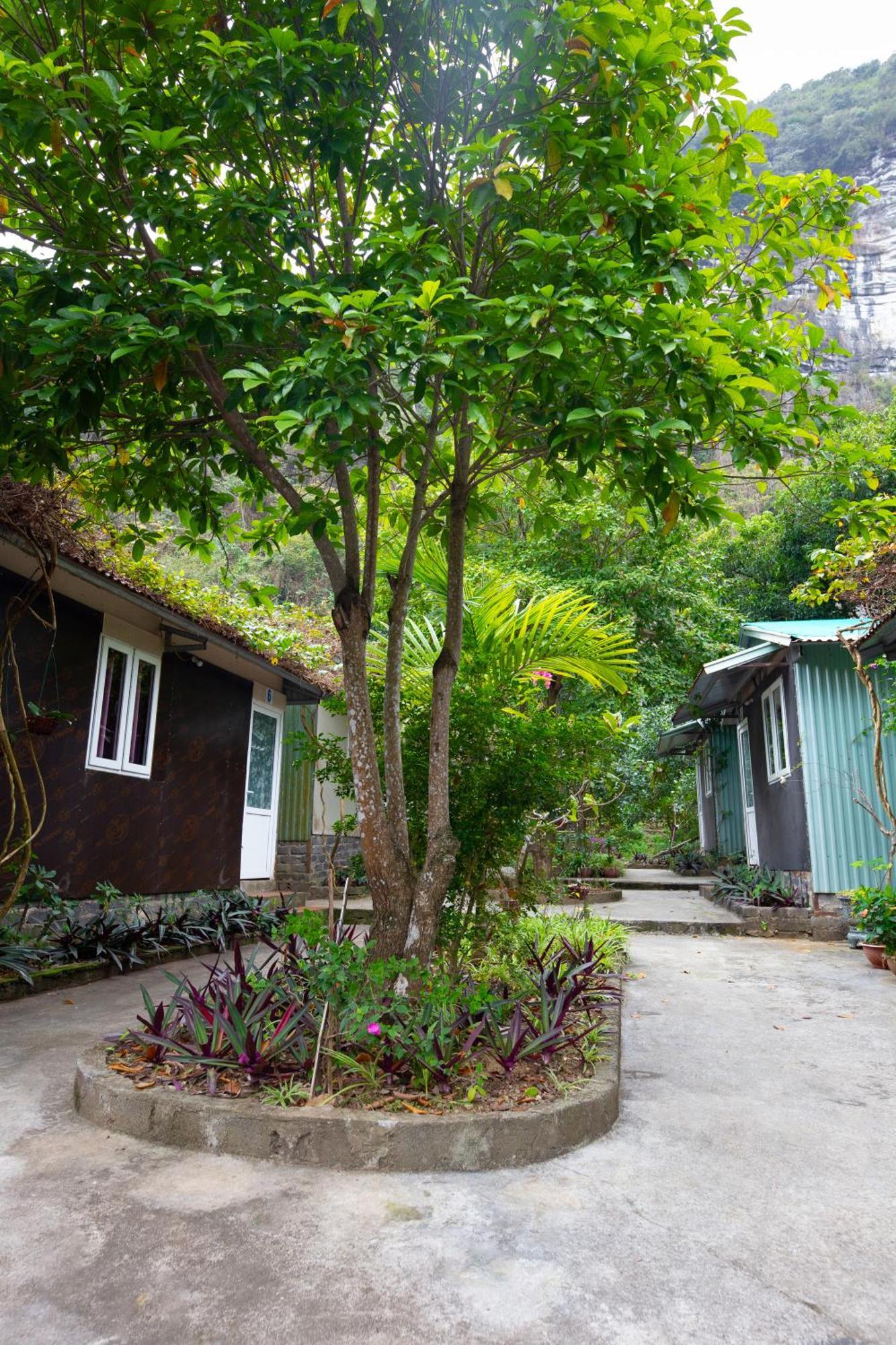 Cat Ba Countryside Homestay Dong Khe Sau 외부 사진